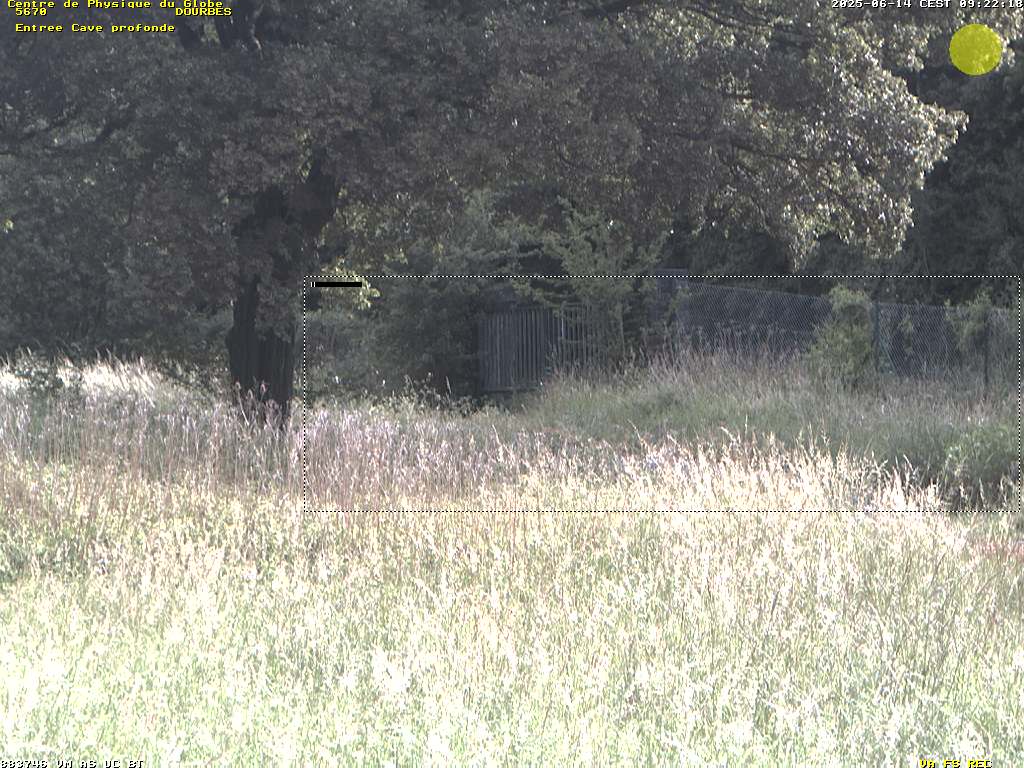 Camera Live Image